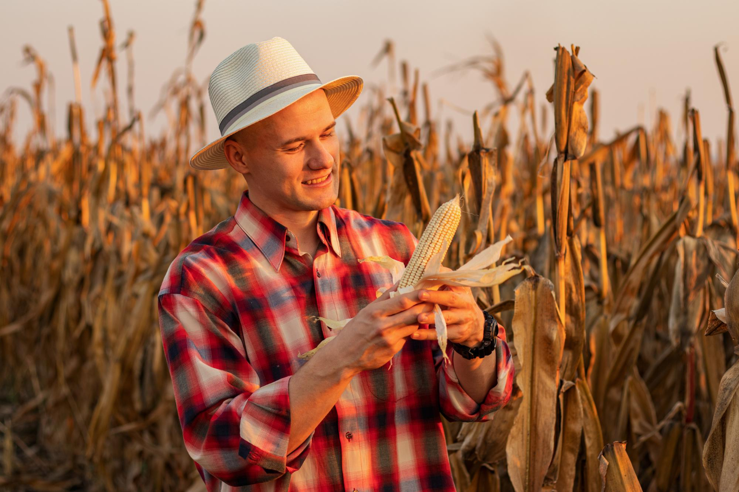 The Smith Insurance Agency/ farm insurance